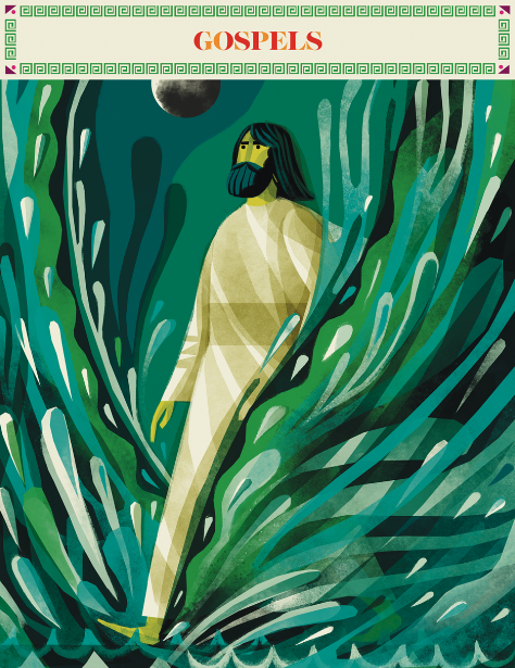 The Biggest Story Curriculum: Box Set