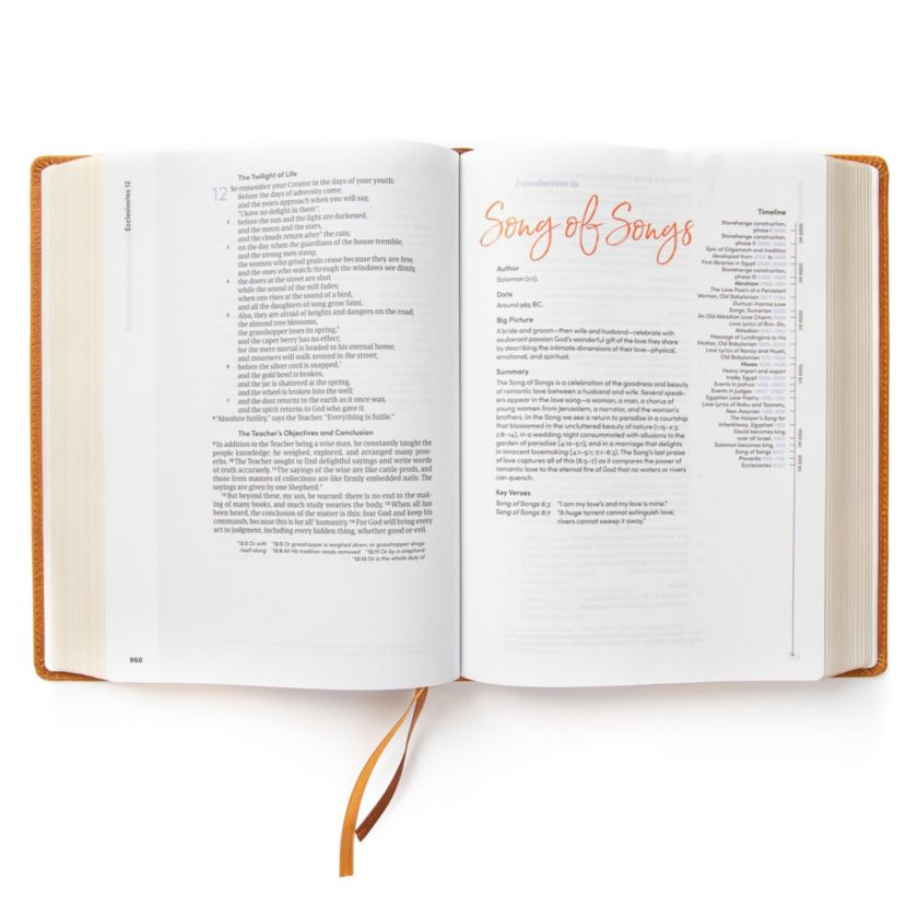 CSB Lifeway Women's Bible, Butterscotch Genuine Leather