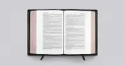 ESV Preaching Bible, Verse by Verse Edition (Goatskin, Black)