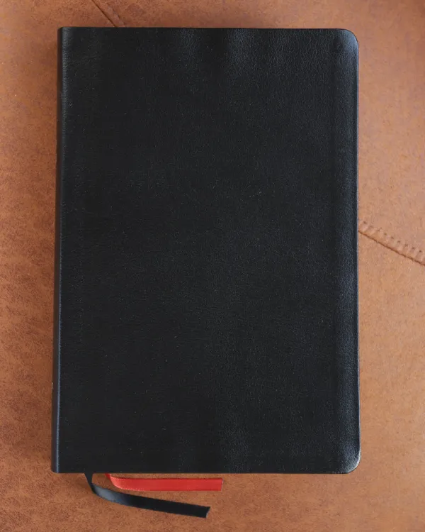 NIV Thinline Bible, Giant Print, Red Letter, Comfort Print