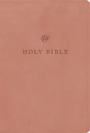 ESV Large Print Compact Bible