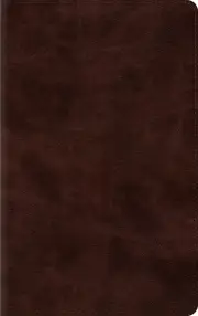 ESV Thinline Bible