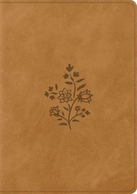 ESV Single Column Journaling Bible, Large Print