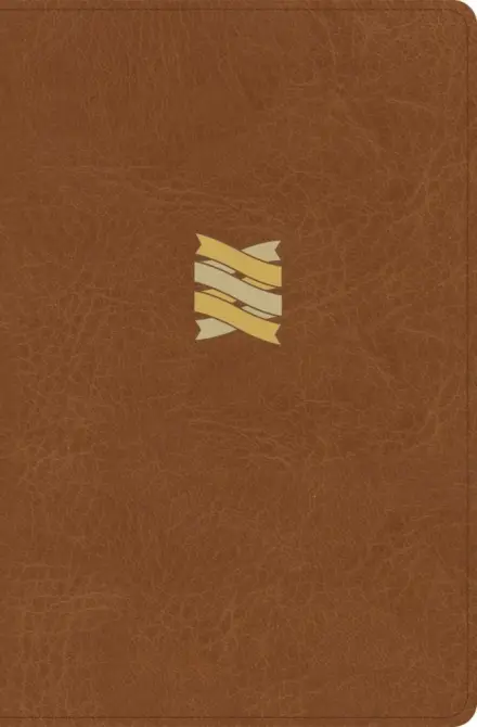 CSB Connecting Scripture New Testament, Brown Leathertouch