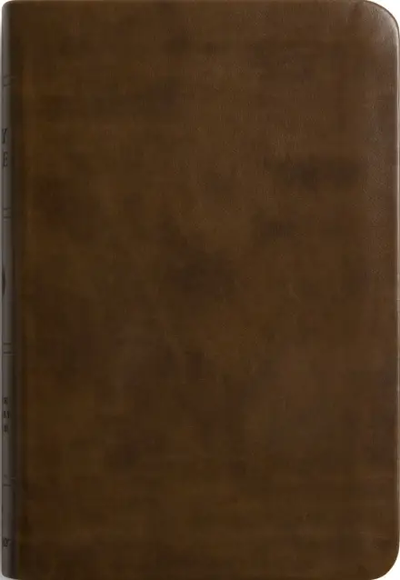ESV Value Compact Bible, TruTone, Brown
