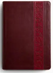 ESV Study Bible, Large Print