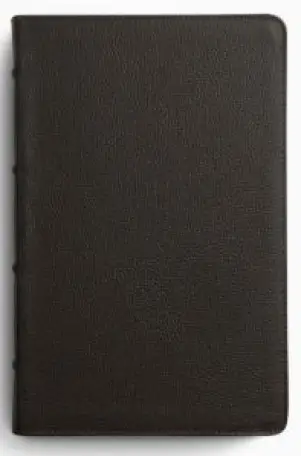 product.name
