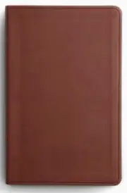 ESV Large Print Value Thinline Bible