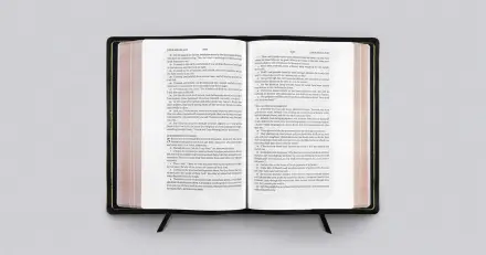 ESV Preaching Bible, Verse by Verse Edition (Goatskin, Black)