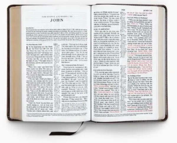 ESV Reference Bible