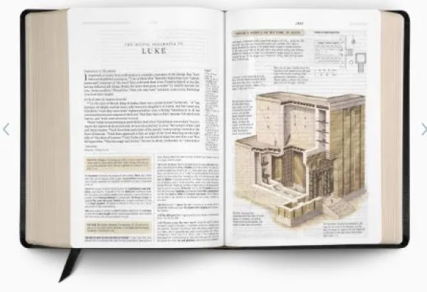 ESV Study Bible