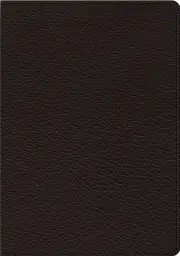The Sing! Hymnal - Leather