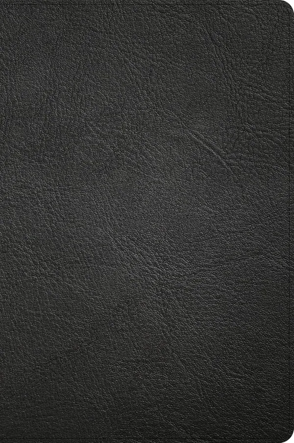 CSB Large Print Thinline Bible, Holman Handcrafted Collection, Black Premium Goatskin