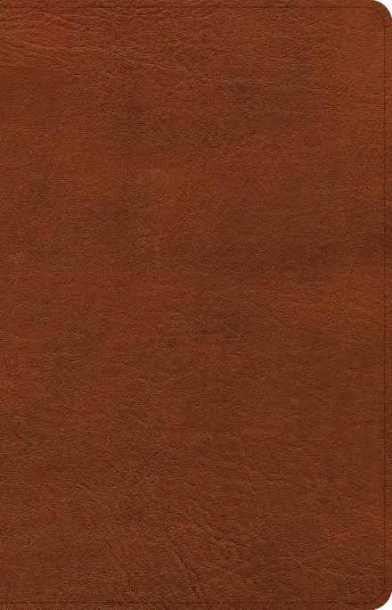 CSB Thinline Bible, Burnt Sienna LeatherTouch
