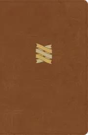 CSB Connecting Scripture New Testament
