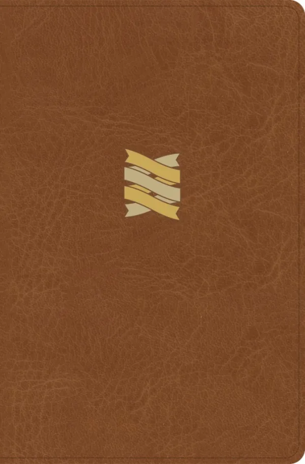 CSB Connecting Scripture New Testament