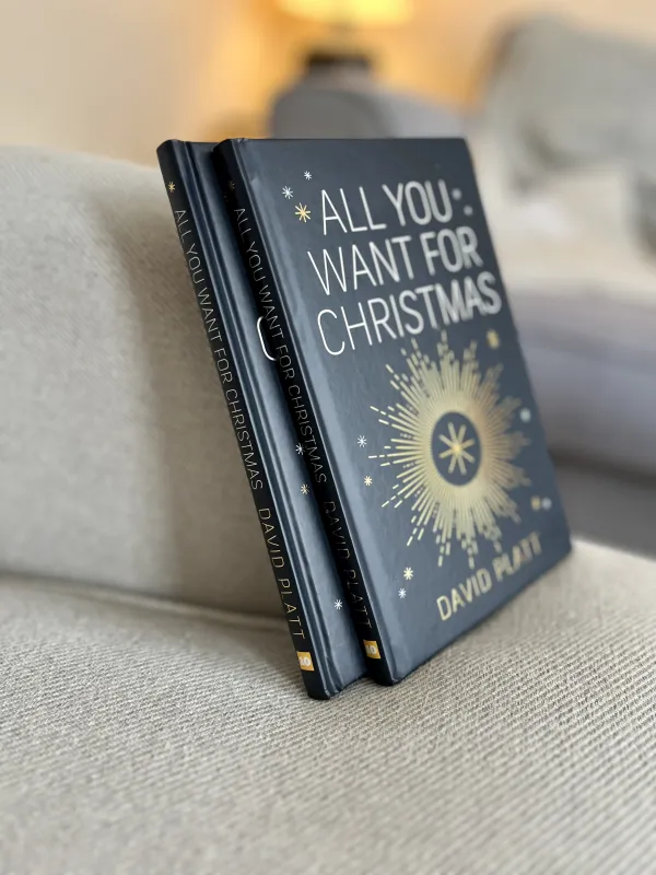 All You Want For Christmas