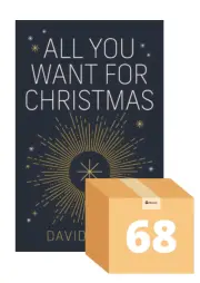 All You Want For Christmas