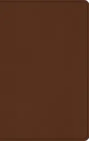 ESV Large Print Value Thinline Bible (TruTone, Camel)