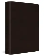 ESV Giant Print Bible, Red Letter