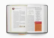 ESV The Biggest Story Holy Bible for Kids
