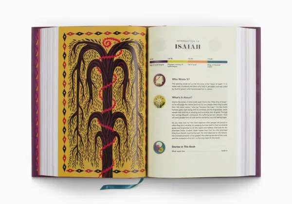 ESV The Biggest Story Holy Bible for Kids