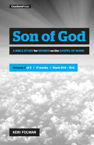 Son of God Vol 2
