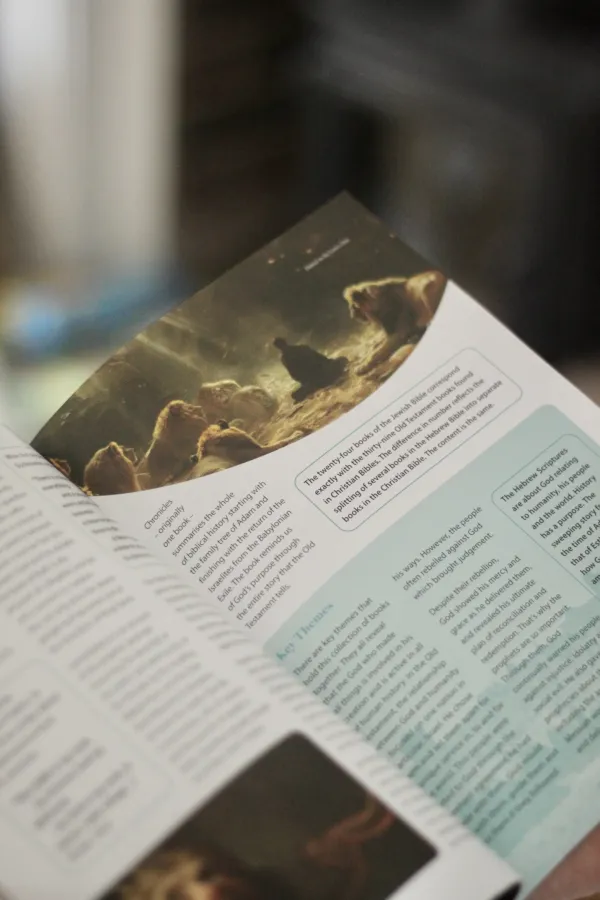 Discovering the Bible