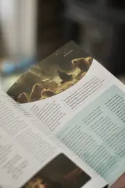 Discovering the Bible
