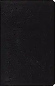 ESV Large Print Thinline Reference Bible