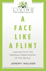 A Face Like Flint