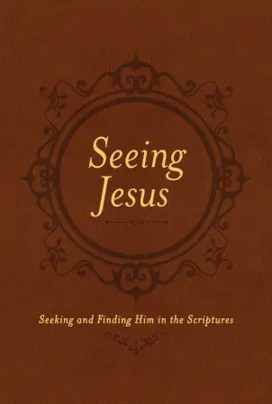 Seeing Jesus