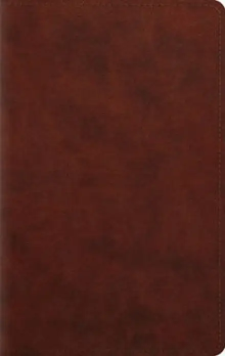 ESV Large Print Personal Size Bible