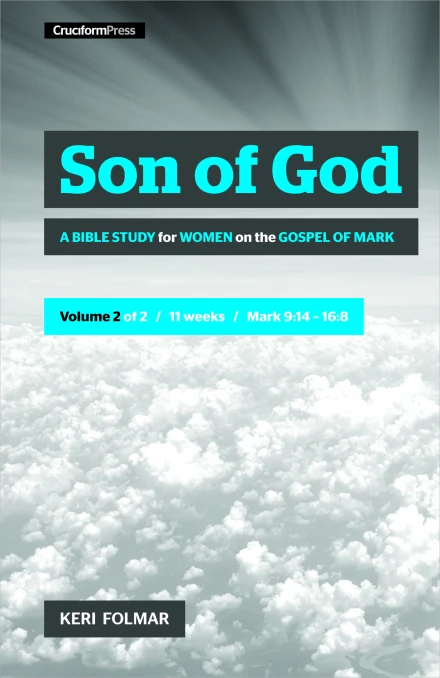 Son of God Vol 2