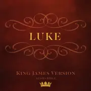 Book of Luke MP3 Audiobook