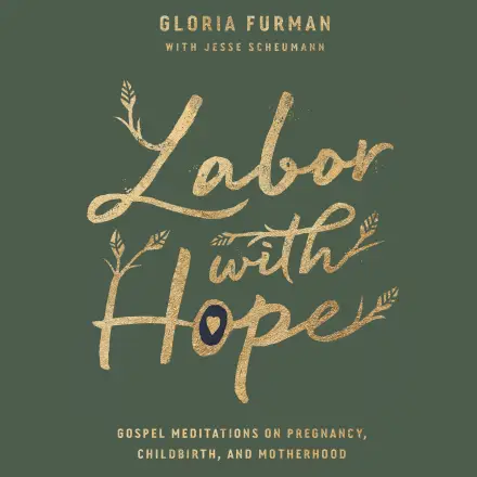 Labor with Hope MP3 Audiobook