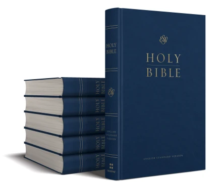 ESV Pew Bible, Blue (Case of 24)