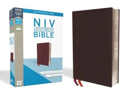 NIV Thinline Bible (Burgandy, Red Letter)