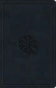 ESV Large Print Value Thinline Bible