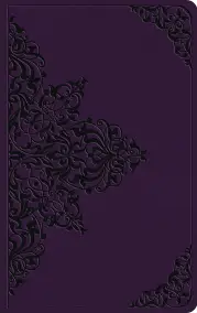 ESV Large Print Value Thinline Bible