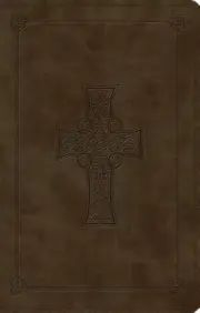 ESV Large Print Value Thinline Bible