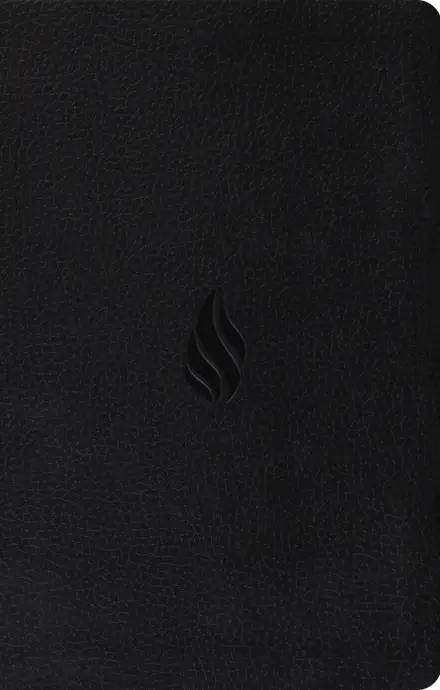 ESV Premium Gift Bible