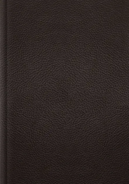 ESV Single Column Journaling Bible, Large Print