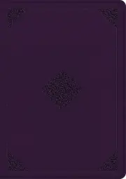ESV Single Column Journaling Bible, Large Print