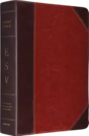 ESV Study Bible