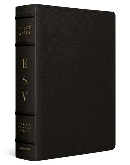 ESV Study Bible, Large Print