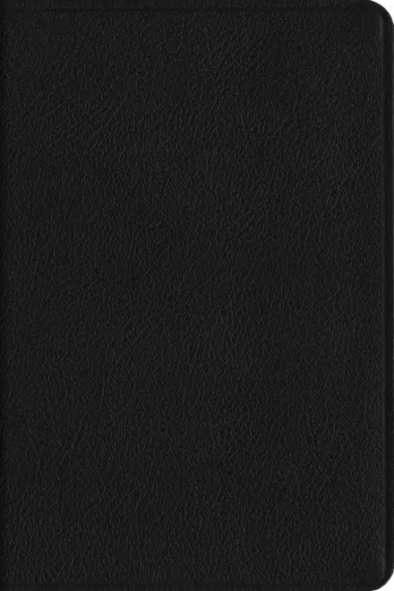 ESV Everyday Gospel Bible (Genuine Leather, Black)