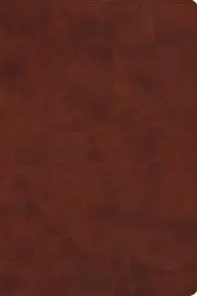 ESV Everyday Gospel Bible (TruTone, Chestnut)