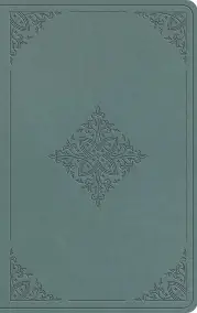 ESV Value Thinline Bible (TruTone, Paris Sky, Fleur-de-lis Design)