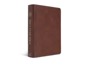 ESV Men's Study Bible